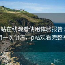 正规P站在线观看使用体验报告：好不好用一次讲清，p站观看完整视频