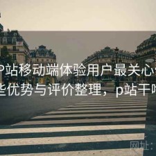 正规P站移动端体验用户最关心什么？有哪些优势与评价整理，p站干啥用的