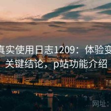 P站真实使用日志1209：体验变化与关键结论，p站功能介绍