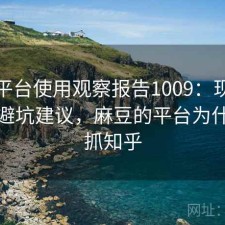 麻豆平台使用观察报告1009：现状分析与避坑建议，麻豆的平台为什么不抓知乎
