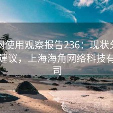 海角网使用观察报告236：现状分析与避坑建议，上海海角网络科技有限公司