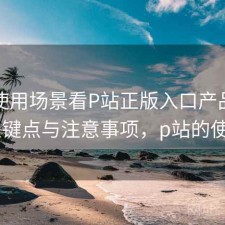 围绕使用场景看P站正版入口产品迭代 关键点与注意事项，p站的使用