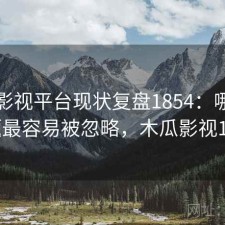 木瓜影视平台现状复盘1854：哪些问题最容易被忽略，木瓜影视1.1