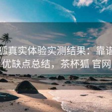 茶杯狐真实体验实测结果：靠谱吗与优缺点总结，茶杯狐 官网