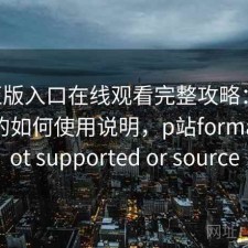 P站正版入口在线观看完整攻略：新手必看的如何使用说明，p站format is not supported or source