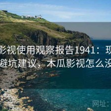 木瓜影视使用观察报告1941：现状分析与避坑建议，木瓜影视怎么没有了
