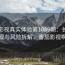 番茄影视真实体验第1089期：长期表现与风险拆解，番茄影视啊