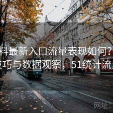 51爆料最新入口流量表现如何？使用技巧与数据观察，51统计流量