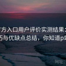 P站官方入口用户评价实测结果：使用技巧与优缺点总结，你知道p站吗