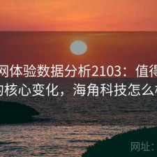 海角网体验数据分析2103：值得关注的核心变化，海角科技怎么样