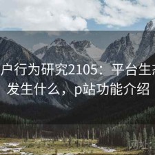 P站用户行为研究2105：平台生态正在发生什么，p站功能介绍