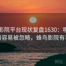 蜂鸟影院平台现状复盘1630：哪些问题最容易被忽略，蜂鸟影院有毒吗