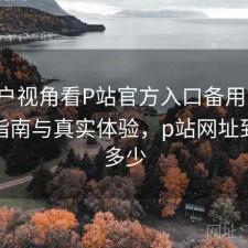 从用户视角看P站官方入口备用网址：避坑指南与真实体验，p站网址到底是多少