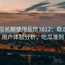 17吃瓜长期使用反馈1612：稳定性与用户体验分析，吃瓜准则