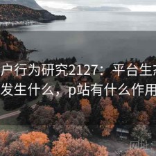 P站用户行为研究2127：平台生态正在发生什么，p站有什么作用