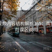 蘑菇视频内容结构解析365：真实情况与误区说明