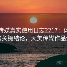 天美传媒真实使用日志2217：体验变化与关键结论，天美传媒作品介绍