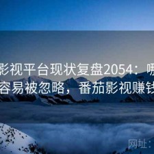番茄影视平台现状复盘2054：哪些问题最容易被忽略，番茄影视赚钱项目