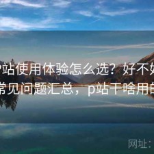 正规P站使用体验怎么选？好不好用与常见问题汇总，p站干啥用的