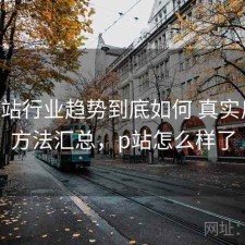 正规P站行业趋势到底如何 真实反馈与方法汇总，p站怎么样了
