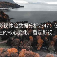 番茄影视体验数据分析2347：值得关注的核心变化，番茄影视1.0