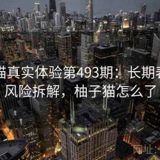 柚子猫真实体验第493期：长期表现与风险拆解，柚子猫怎么了