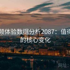 91视频体验数据分析2087：值得关注的核心变化