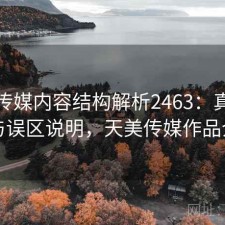 天美传媒内容结构解析2463：真实情况与误区说明，天美传媒作品介绍