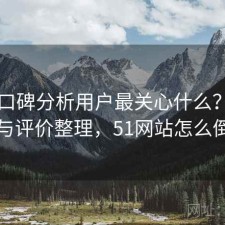 51网口碑分析用户最关心什么？优化方法与评价整理，51网站怎么倒闭了