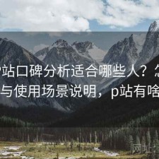 正规P站口碑分析适合哪些人？怎么选与使用场景说明，p站有啥
