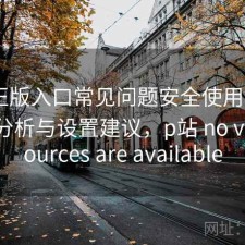 P站正版入口常见问题安全使用指南：实测分析与设置建议，p站 no valid sources are available