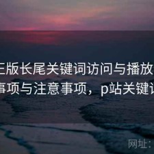 P站正版长尾关键词访问与播放体验：注意事项与注意事项，p站关键词盘点