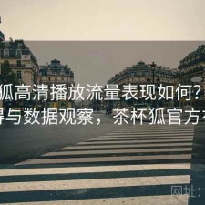 茶杯狐高清播放流量表现如何？是否值得与数据观察，茶杯狐官方在线