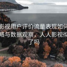 人人影视用户评价流量表现如何？完整攻略与数据观察，人人影视彻底凉了吗
