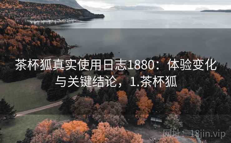 茶杯狐真实使用日志1880：体验变化与关键结论，1.茶杯狐  第1张