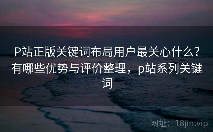 P站正版关键词布局用户最关心什么？有哪些优势与评价整理，p站系列关键词  第2张