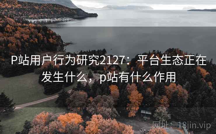 P站用户行为研究2127：平台生态正在发生什么，p站有什么作用  第1张