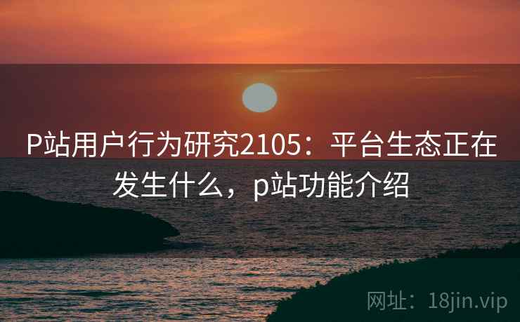 P站用户行为研究2105：平台生态正在发生什么，p站功能介绍  第2张