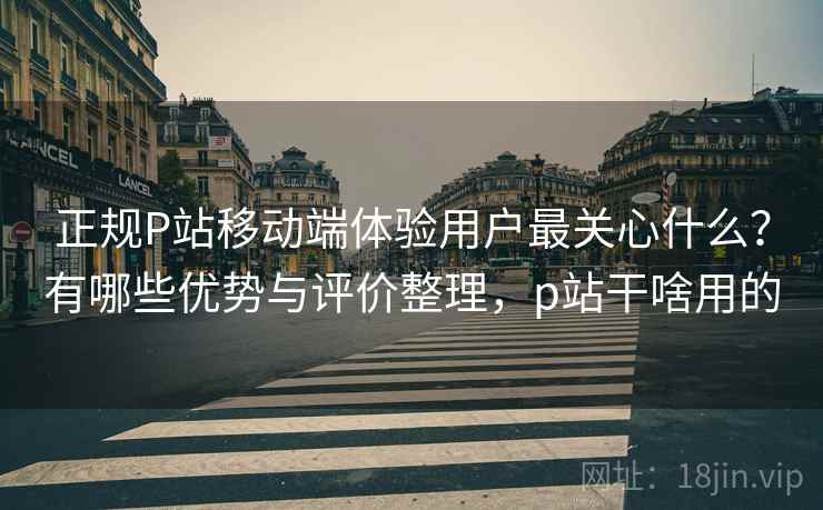 正规P站移动端体验用户最关心什么？有哪些优势与评价整理，p站干啥用的  第1张