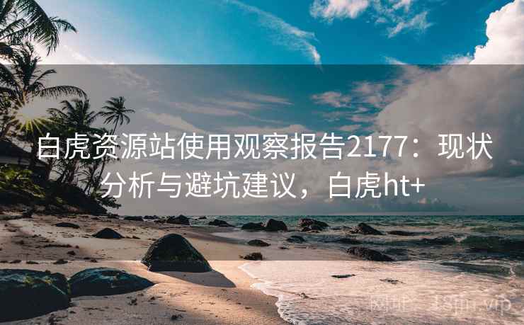 白虎资源站使用观察报告2177：现状分析与避坑建议，白虎ht+  第2张