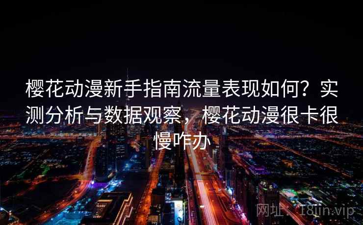 樱花动漫新手指南流量表现如何？实测分析与数据观察，樱花动漫很卡很慢咋办  第2张