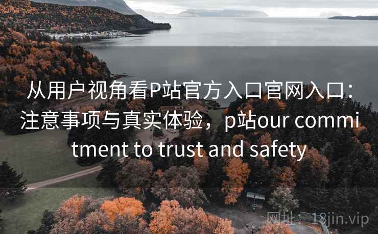 从用户视角看P站官方入口官网入口：注意事项与真实体验，p站our commitment to trust and safety  第2张