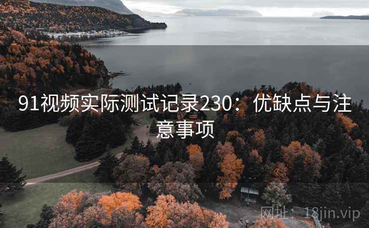 91视频实际测试记录230：优缺点与注意事项  第1张