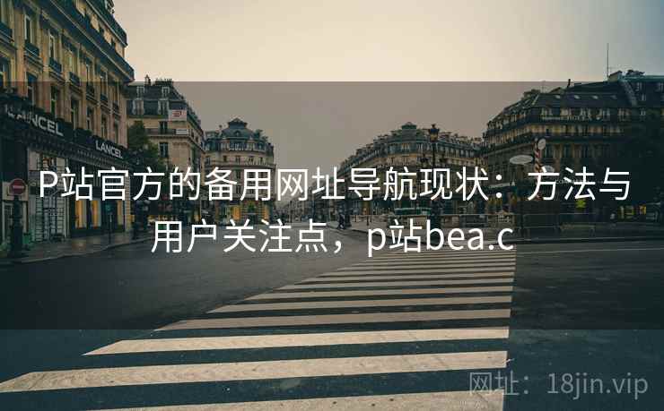 P站官方的备用网址导航现状：方法与用户关注点，p站bea.c  第2张