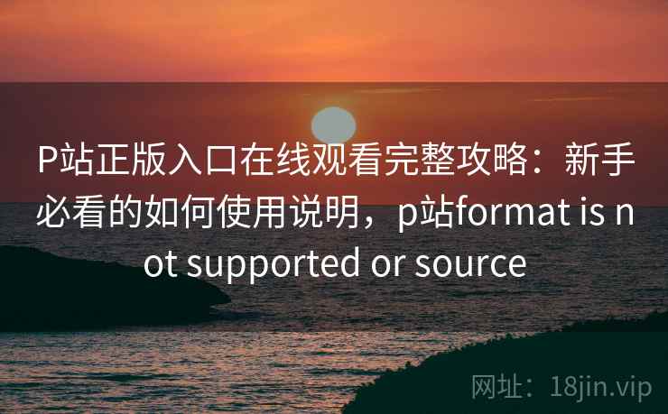 P站正版入口在线观看完整攻略：新手必看的如何使用说明，p站format is not supported or source  第2张