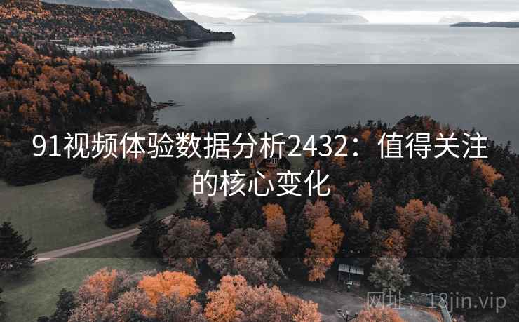 91视频体验数据分析2432：值得关注的核心变化  第2张