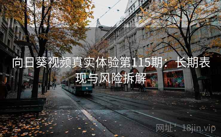向日葵视频真实体验第115期：长期表现与风险拆解  第1张