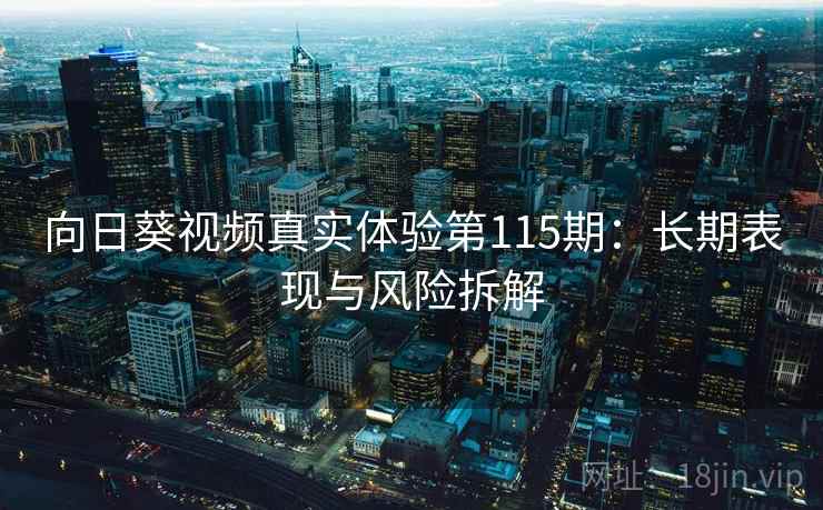 向日葵视频真实体验第115期：长期表现与风险拆解  第2张