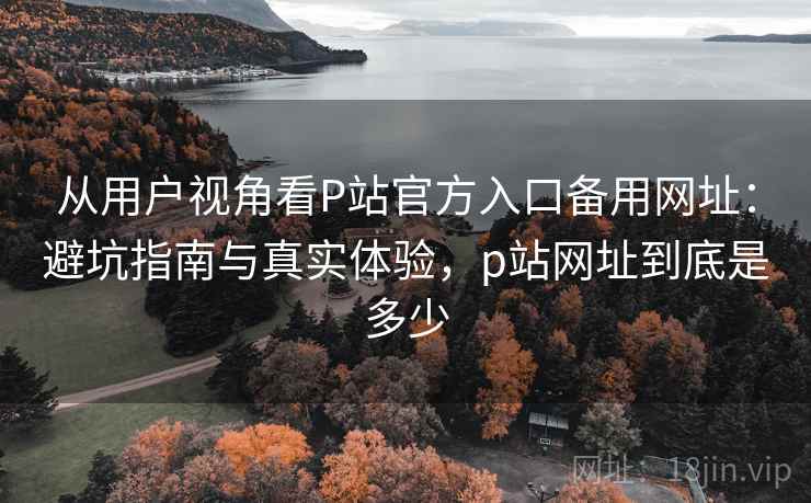 从用户视角看P站官方入口备用网址:避坑指南与真实体验,p站网址到底是多少 第1张 从用户视角看P站官方入口备用网址:避坑指南与真实体验,p站网址到底是多少 第1张