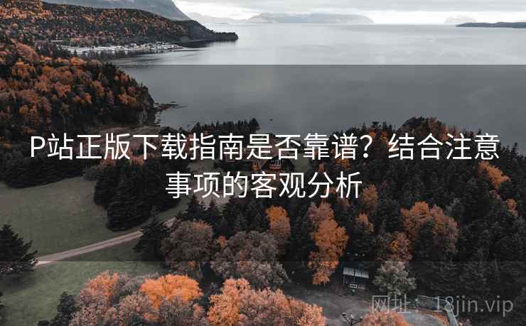 P站正版下载指南是否靠谱？结合注意事项的客观分析  第2张